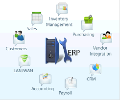 gallery/erp-process